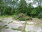 užovka hladká (7.6.2013)